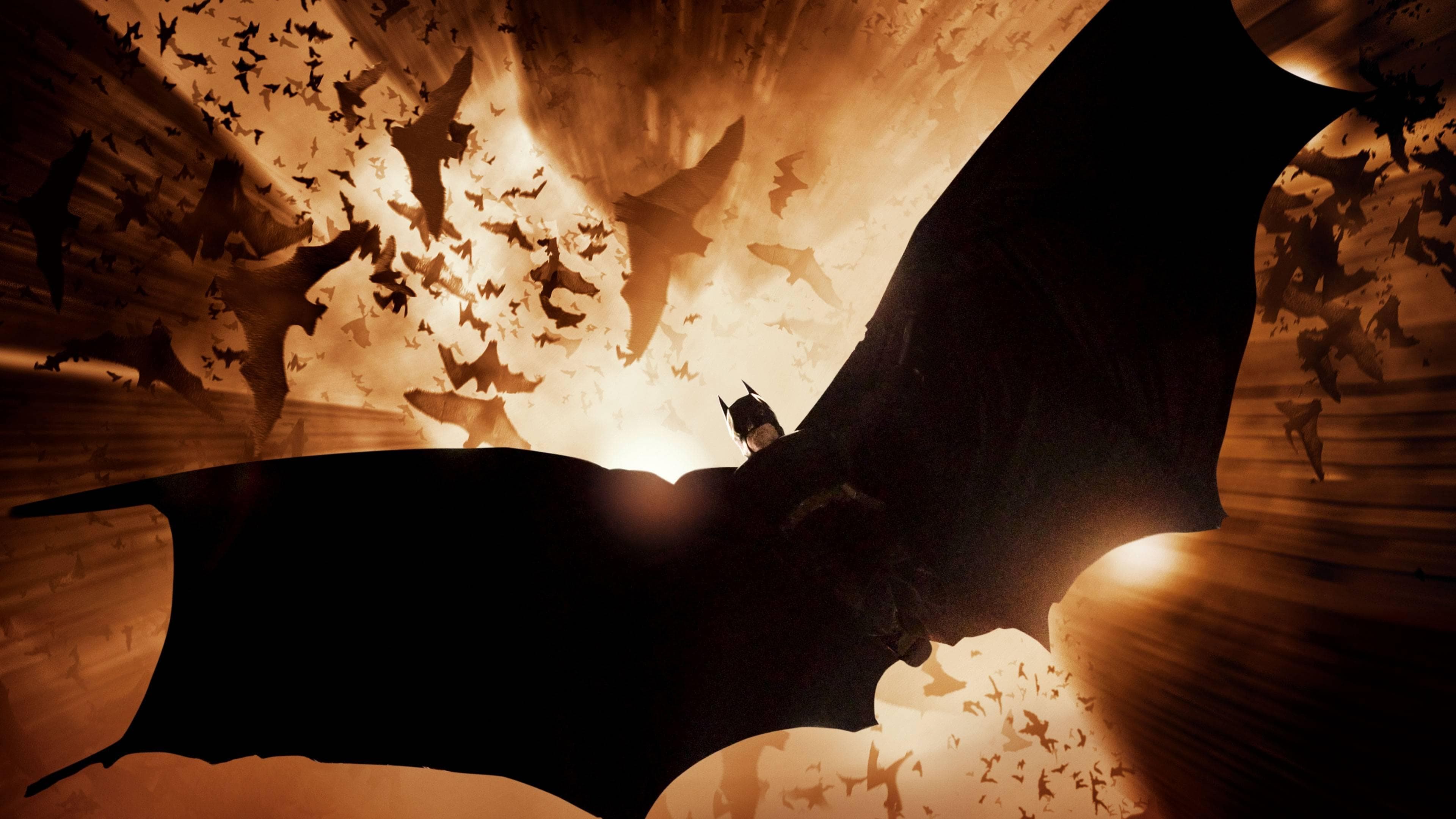 Batman Begins backdrop file.
