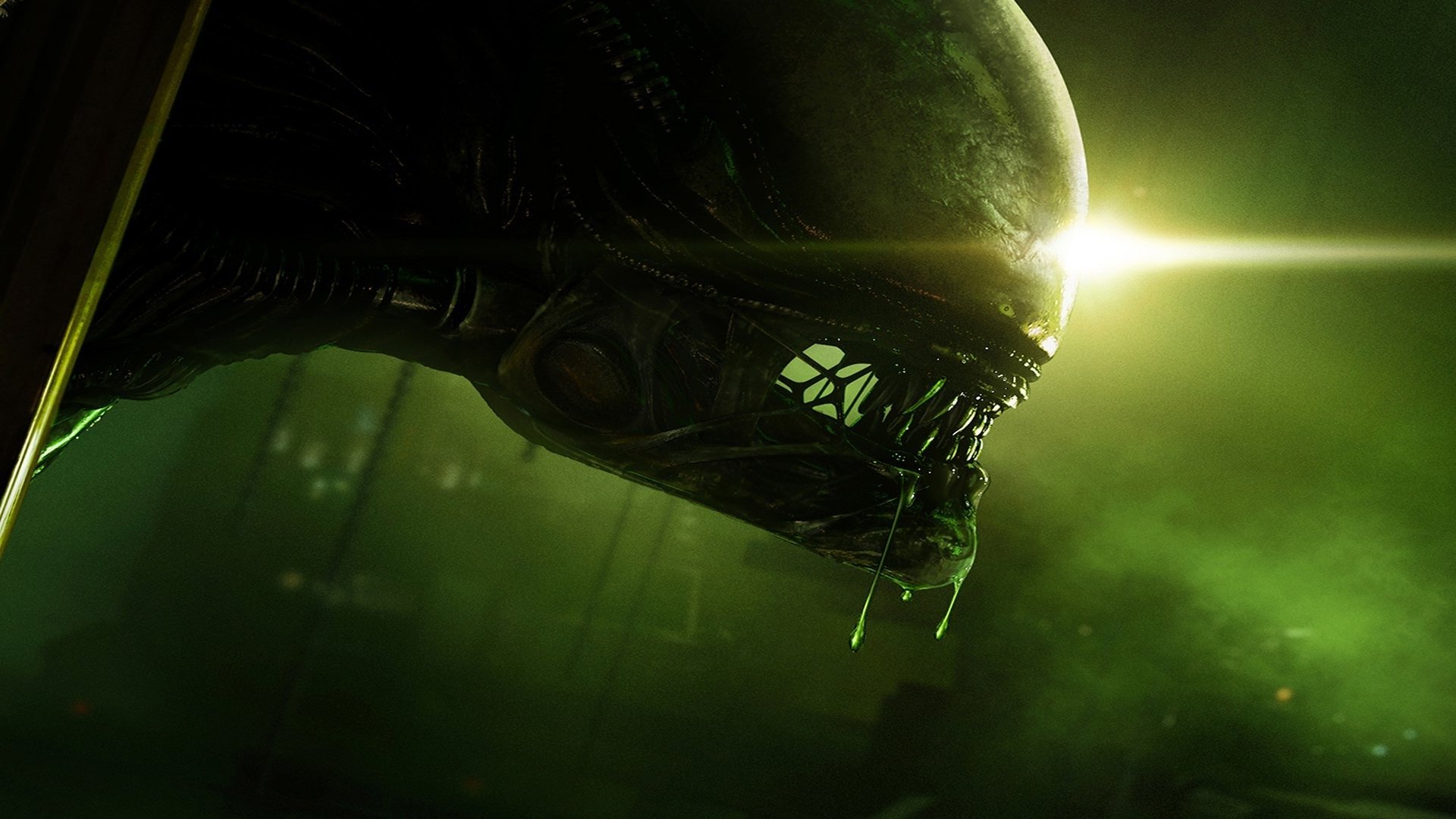Ridley Scott signature backdrop
